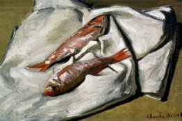 Salmonetes vermelhos