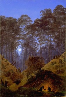 Waldinneres bei Mondschein