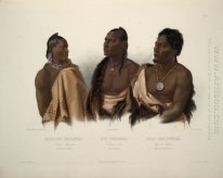 A Indígena de Missouri, un indio Oto y el Jefe de la Puncas, pl