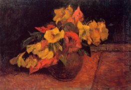 prímulas de noite no vaso 1885