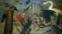 Concerto de Pássaro
