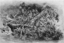 Fallen Tree Siverskaya 1879