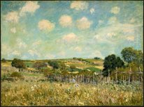 Wiese 1875