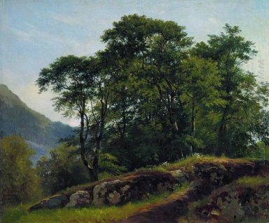 Буковый лес в Швейцарии 1863