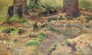 Studie Bos
