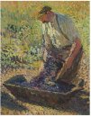 Farmer ginocchio