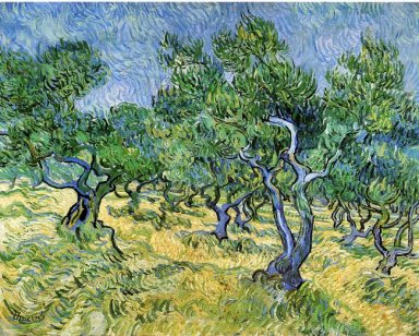 Olive Grove 1889