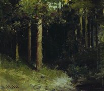 Hutan 7