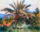 Een Palmboom In Bordighera