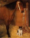 im Stall Pferd und Hund