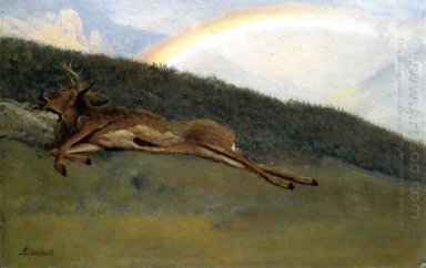 regnbåge över en fallen stag