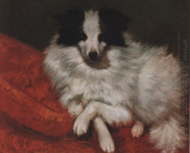 Sitzen auf Kissen Hund 1855