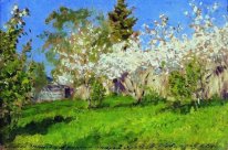 Äppelträd i Blossom 1896