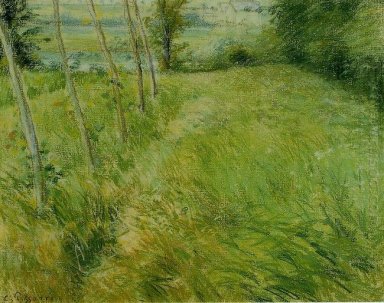 paisagem em Pontoise 1
