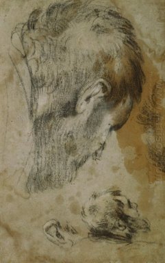 Dos estudios de la cabeza de un hombre barbudo