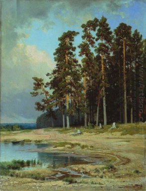 Foresta 1885