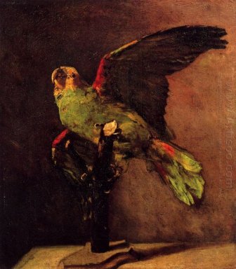 Зеленый попугай 1886