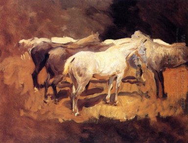 Pferde auf Palma 1908