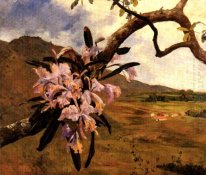 Maggio fiori e del paesaggio