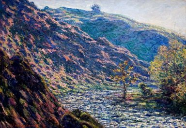 Le vieil arbre au confluent