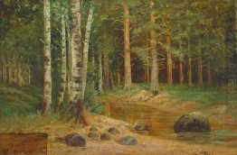Hutan Streaming