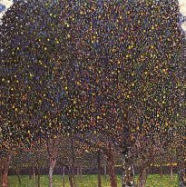 Pear Tree 1903
