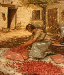 Cerejas embalagem em Provence, França