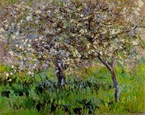 Apple träd i blom på Giverny