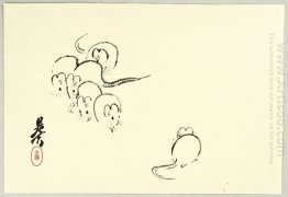 Vita Råttor