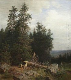 Aan de rand van het Bos