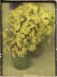 Still Life dengan Bunga