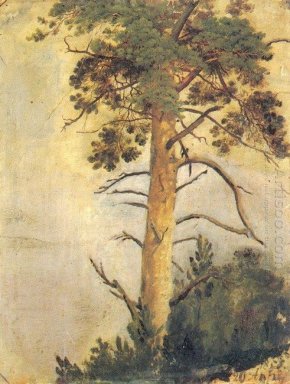 Pine On The Cliff 1855