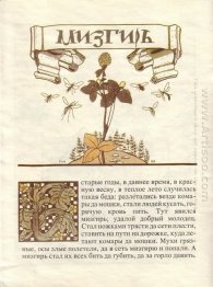 Contos de fadas da ilustração Teremok Mizgir 1910 4