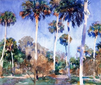 Palms 1917