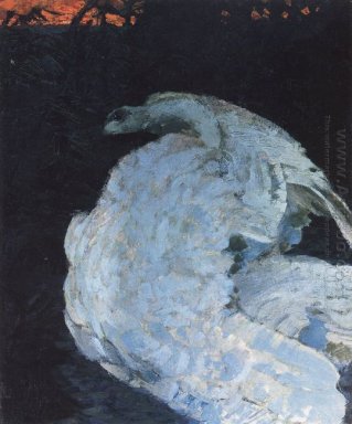 Swan 1901