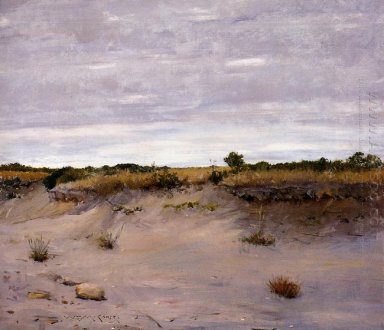 Angin Swept Sands Shinnecock Long Island
