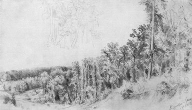 Barranco en Kozlovka Zaseka 1873
