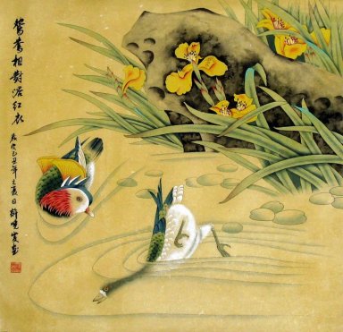 Mandarijn eend Zwemmen samen - Chinees schilderij