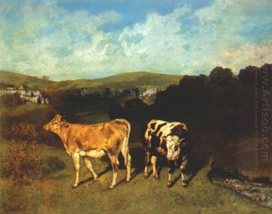 White Bull And Blond Kviga 1851