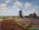 Fields Of Tulip With The Rijnsburg Windmill