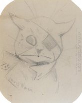 FÖRVIRRAD CAT