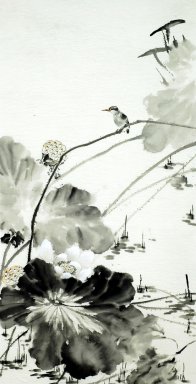 Lotus - pittura cinese