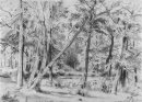Forêt 1869
