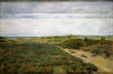 Nahe Dem Meer Aka Shinnecock