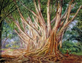 Avenue of India Karet Pohon di Peradeniya, Ceylon