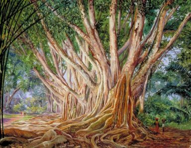 Avenue of Indian gummiträd vid Peradeniya, Ceylon
