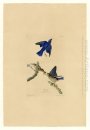 Placa 113 Blue-bird