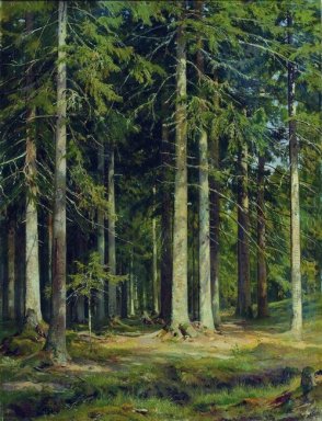 Abete Foresta 1891