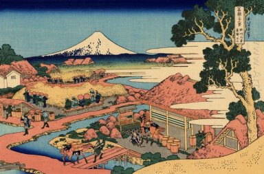 The Tea Plantation Of Katakura In The Suruga landskapet