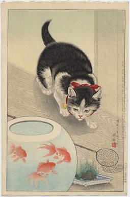 Gato y tazón de fuente del Goldfish